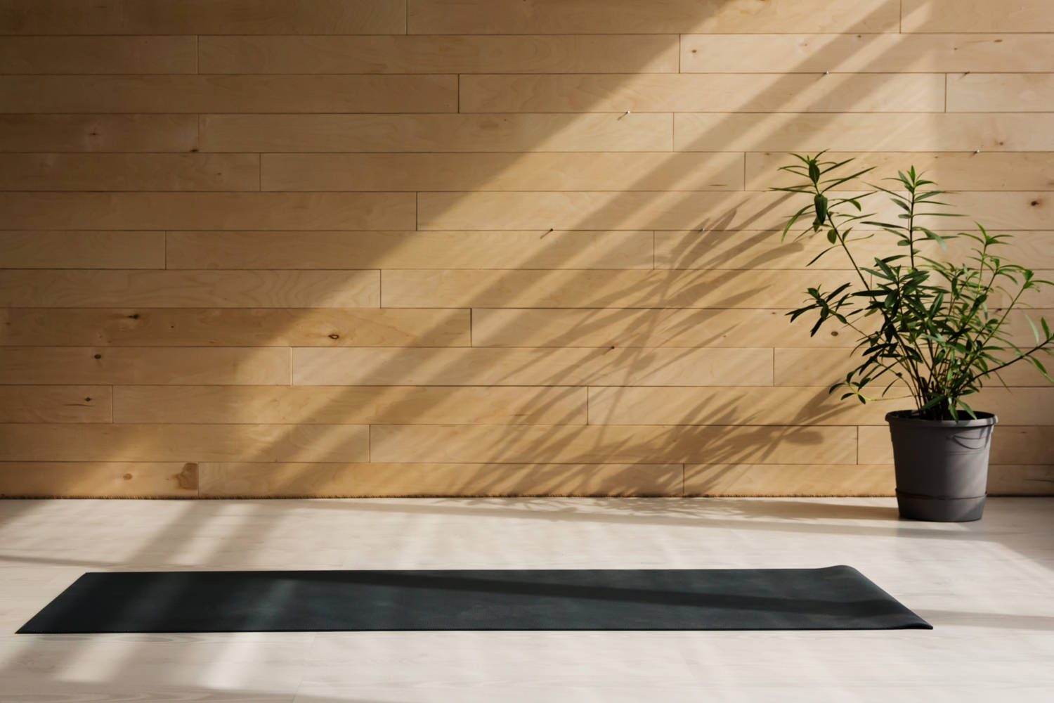 zurich-unterland-yoga-qigong-studio-abo